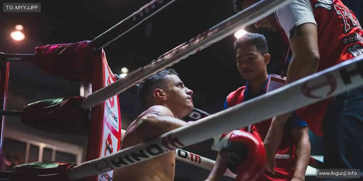 📱实时直播，一键解锁赛场心跳！